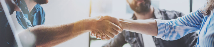 two business people shaking hands